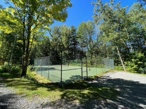 Goose Pond Contemporary With Lake View and Access