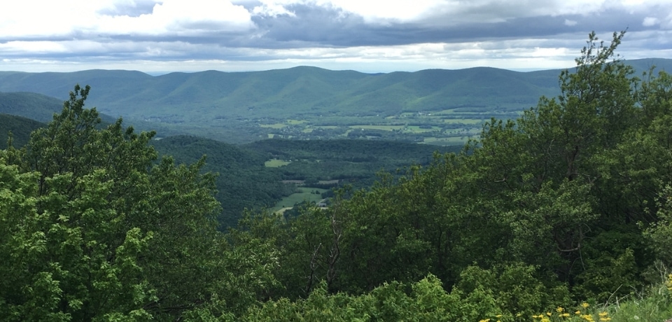 Mt Greylock Williamstown MA