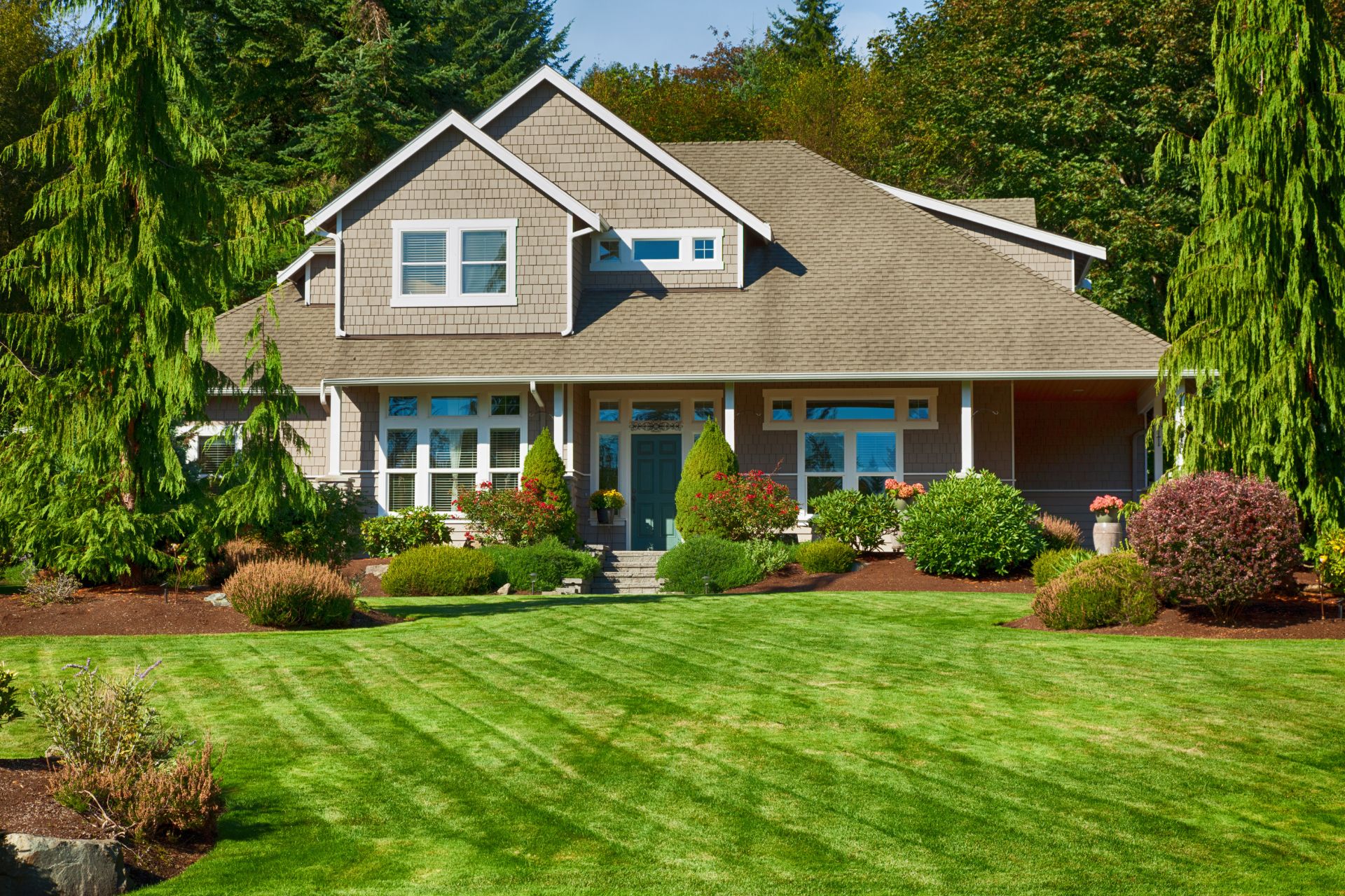 Professional Photography for Premium Listings